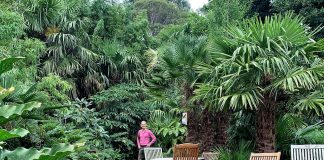 FOTOT/ Babai që e shndërroi kopshtin e tij në një “xhungël” urbane në mes të Britanisë