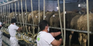 Skema e naftës pa taksa për fermerët/ Zgjidhet ngërçi për ata që e kanë tokën me qira, por s’kanë kontratë noteriale