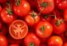 Studimi i ri/ Çelësi i shëndetit të mirë, cilësitë e pabesueshme të domates