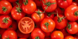 Studimi i ri/ Çelësi i shëndetit të mirë, cilësitë e pabesueshme të domates