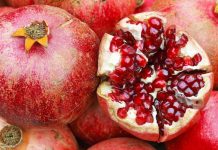 Nga shega tek salmoni, ushqimet më të mira që ju bëjnë të dukeni më të rinj