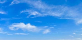 “Qilimi i blertë”/ Gjysh Marku dhe Ervisi prodhojnë tapetet e barit më të mira në Shqipëri