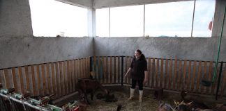 FOTOT/ Luçe Hasanaj, një grua që frymëzon