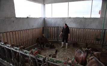 FOTOT/ Luçe Hasanaj, një grua që frymëzon