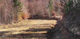 Vazhdon rikonstruksioni i rrugës nga kryqëzimi Dardhë-Arrëz deri në fshatin Nikolicë