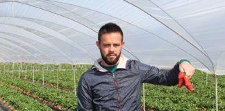 Nga punëtor në sipërmarrës, historia e suksesit në Itali e Ermal Gjuzit