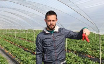 Nga punëtor në sipërmarrës, historia e suksesit në Itali e Ermal Gjuzit