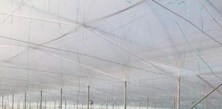 Sera diellore moderne/ Njihuni me Agronin, fermerin model