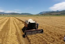 Mbështetja e fermerëve/ Teknologji të reja e makineri bujqësore, financim në 50 % të investimit