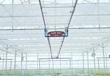 Nga bimet mjekësore tek ullishtet, si ndahen fermat bio në Shqipëri