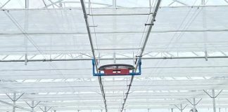 Nga bimet mjekësore tek ullishtet, si ndahen fermat bio në Shqipëri