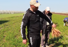 Modele që frymëzojnë/ Emirjoni, fermeri 35 vjeçar me 8 dynym serra