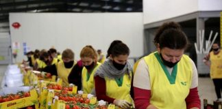 Shifrat/ Shqipëria, kampione në eksportin e perimeve