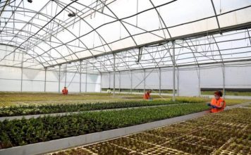 Fondi 3.2 miliardë lekë/ Hapen aplikimet për Skemën Kombëtare të Mbështetjes në Bujqësi 2022