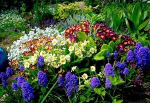 Gëzojuni dritës së diellit, si ndikon pranvera në gjendjen tonë shpirtërore