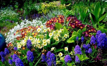 Gëzojuni dritës së diellit, si ndikon pranvera në gjendjen tonë shpirtërore