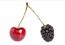 Studimi/ Pse duhet të kesh të paktën 2 karriera profesionale?