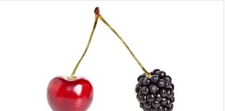 Studimi/ Pse duhet të kesh të paktën 2 karriera profesionale?