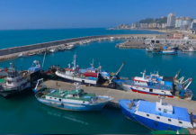 Eksporti i peshkut nga Shqipëria, zgjerohet me 11 shtete harta e shteteve