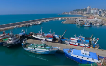 Eksporti i peshkut nga Shqipëria, zgjerohet me 11 shtete harta e shteteve