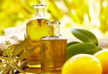 Tre kompani shqiptare fitojnë “medalje ekstragold” për vajin e ullirit në Itali