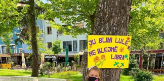 “Ju blini lule, ne blejmë libra”/ Nisma fantastike nxënësve në Lezhë dhe mësuese Lulzimes