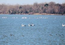 FOTOT/ Biodiversiteti është ushqimi që hamë, uji që pimë, ajri që marrim frymë