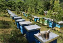 Edhe bletarët do të përfitojnë grante nga programi IPARD III, ja si do veprohet