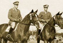 Njihuni me dy vëllezërit arbëresh, legjenda të hipizmit botëror