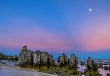 Nuk regjistroi asnjë rast të koronavirusit, shteti i parë që vaksinon të gjithë popullsinë