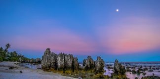 Nuk regjistroi asnjë rast të koronavirusit, shteti i parë që vaksinon të gjithë popullsinë