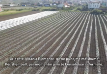 Historia e Xhulianos, që me 15 punëtorë eksporton prodhimet e veta në Itali