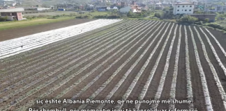 Historia e Xhulianos, që me 15 punëtorë eksporton prodhimet e veta në Itali