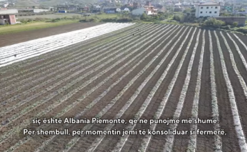 Historia e Xhulianos, që me 15 punëtorë eksporton prodhimet e veta në Itali