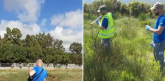 Gati për plazh/ Nis procesi i dezinsektimit në Vlorë dhe Sarandë (FOTO)