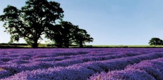 Bimët mjekësore në Shqipëri, mbi 80 mijë të punësuar dhe 20 milionë euro fitim