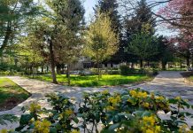 FOTOT/ Drejt përfundimit punimet në sheshin “Ahmet Zogu” dhe parkun “Geraldinë” në Burrel (FOTOT)