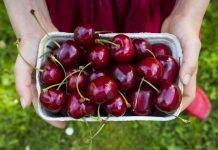 Më të freskëtat e majit, frutat dhe perimet e sezonit