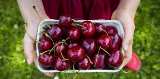 Më të freskëtat e majit, frutat dhe perimet e sezonit