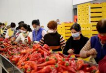 Lushnjë-Fier/ Rreth 5400 tonë produkte bujqësore u eksportuan në dy javët e para të majit