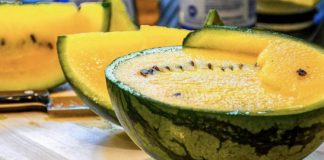 Shalqini i verdhë i Divjakës, fruti shqiptar më unik dhe i ëmbël i verës