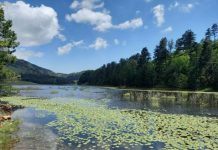 FOTOT/ Liqeni i Dushkut, destinacioni mahnitës në Gramsh