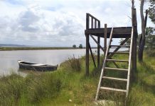 FOTOT/ Shtegu i Pelikanit, opsioni për një ditë pushimi ndryshe