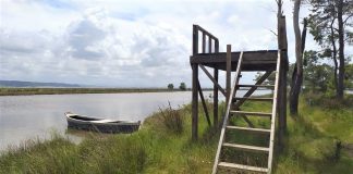 FOTOT/ Shtegu i Pelikanit, opsioni për një ditë pushimi ndryshe