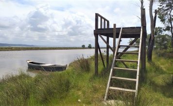FOTOT/ Shtegu i Pelikanit, opsioni për një ditë pushimi ndryshe