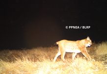 FOTOT e PPNEA, përfundimi i sezonit të monitorimit të rrëqebullit në Shqipëri