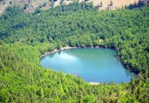 FOTO/ Liqeni i Dhoksit, parajsë turistike mes pishave dhe maleve në Bulqizë