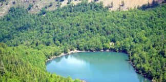 FOTO/ Liqeni i Dhoksit, parajsë turistike mes pishave dhe maleve në Bulqizë