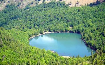 FOTO/ Liqeni i Dhoksit, parajsë turistike mes pishave dhe maleve në Bulqizë