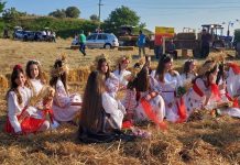 “Festa e grurit”, një paradë e veshjeve, këngëve e valleve tradicionale, e bukurisë e mikpritjes myzeqare